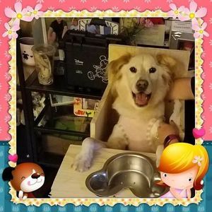 Meet your Posher, Valerie